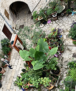 innovations espace extérieur couvert et jardin